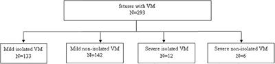 Classifying and Evaluating Fetuses With Ventriculomegaly in Genetic Etiologic Studies